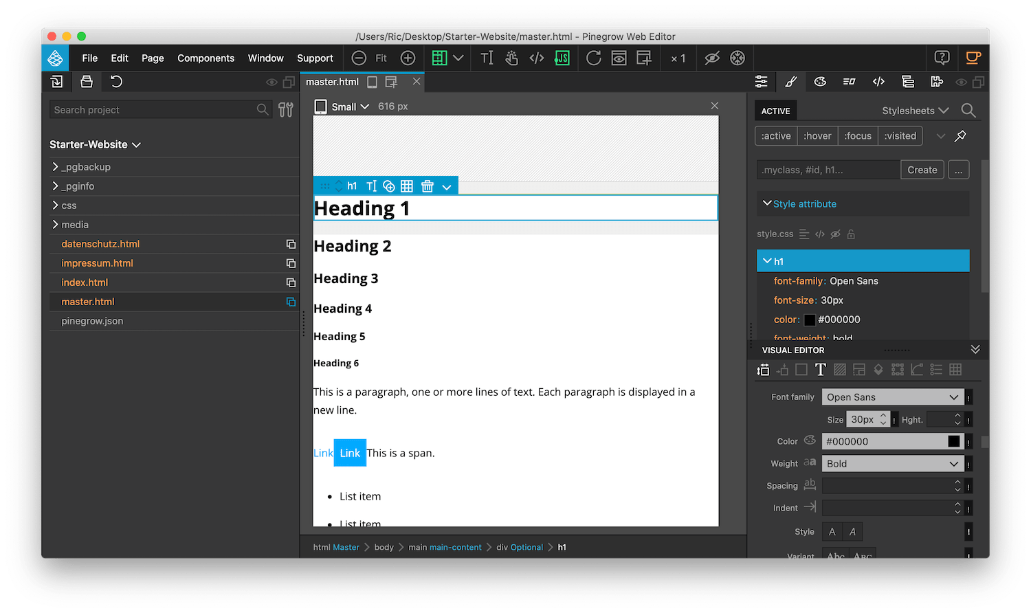 Starterprojekt Masterseite Masterseite vom Pinegrow Forest Starterprojekt mit HTML Elementen wie Überschriften zum schnellen stylen